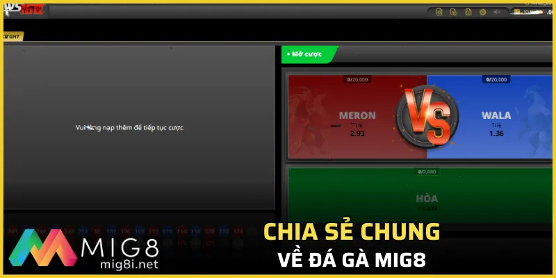 Chia sẻ chung về đá gà Mig8