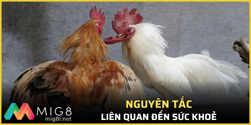 Nguyên tắc liên quan đến sức khoẻ