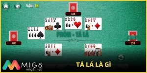 tả lá là gì