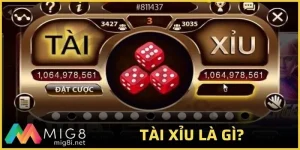 tài xỉu là gì