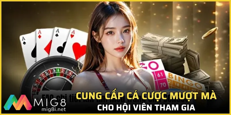 Truyền tải, cung cấp cá cược mượt mà cho hội viên tham gia