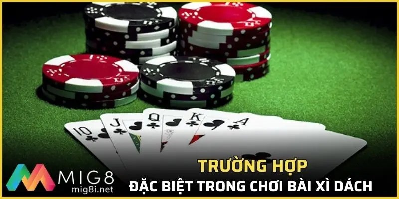 Những trường hợp đặc biệt trong xi dách là gì