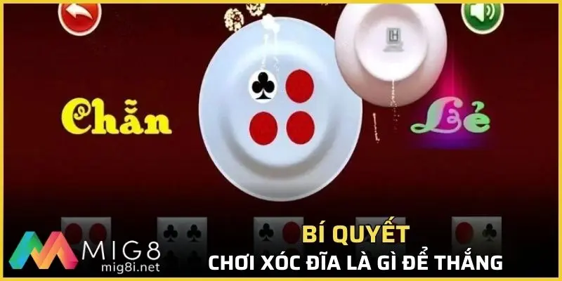 Bí kíp chơi xóc đĩa là gì để thắng