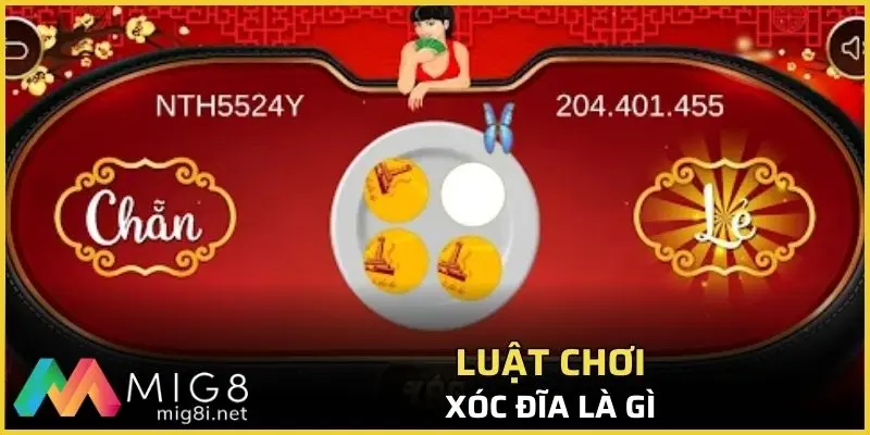 Xóc đĩa là gì, luật chơi như thế nào